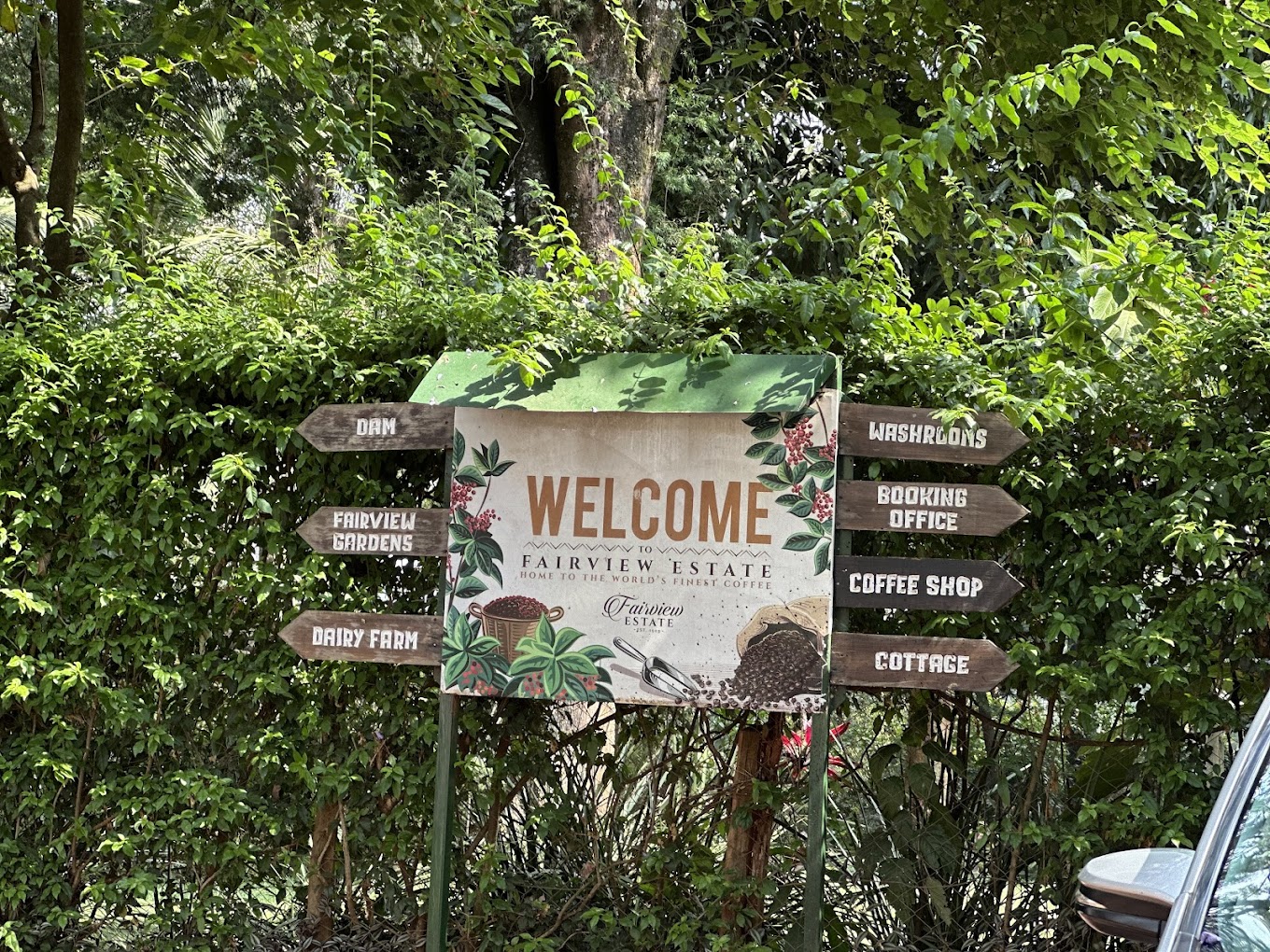 Kenya Coffee and Wildlife Safari: 4-Day Adventure