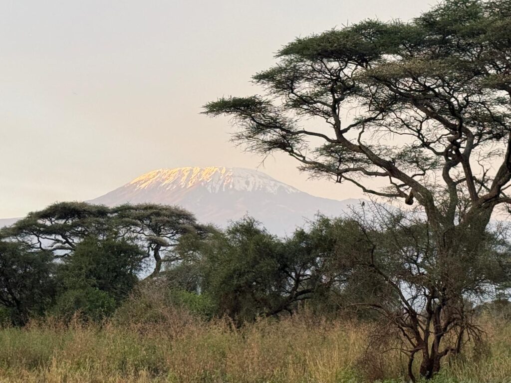 View of Mt. Kilimanjaro at sunrise