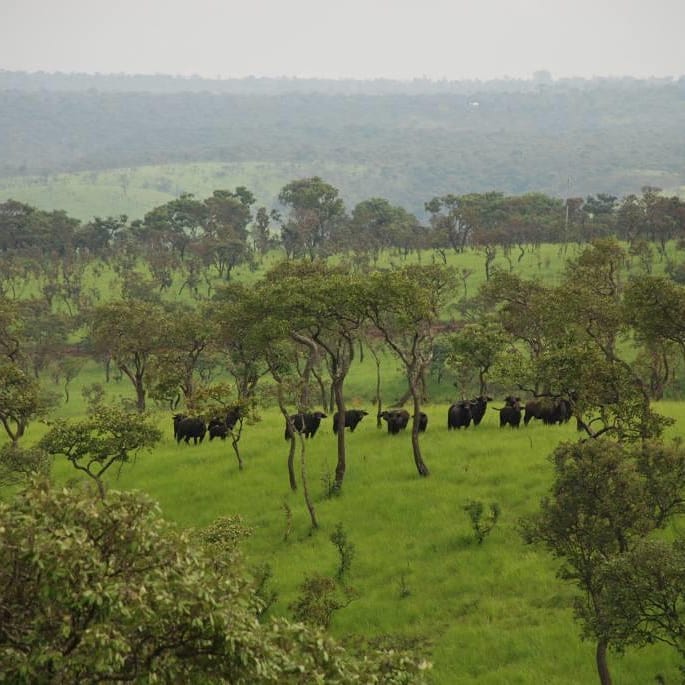 Burundi Unveiled: The All-in-One Safari and Cultural Discovery Tour